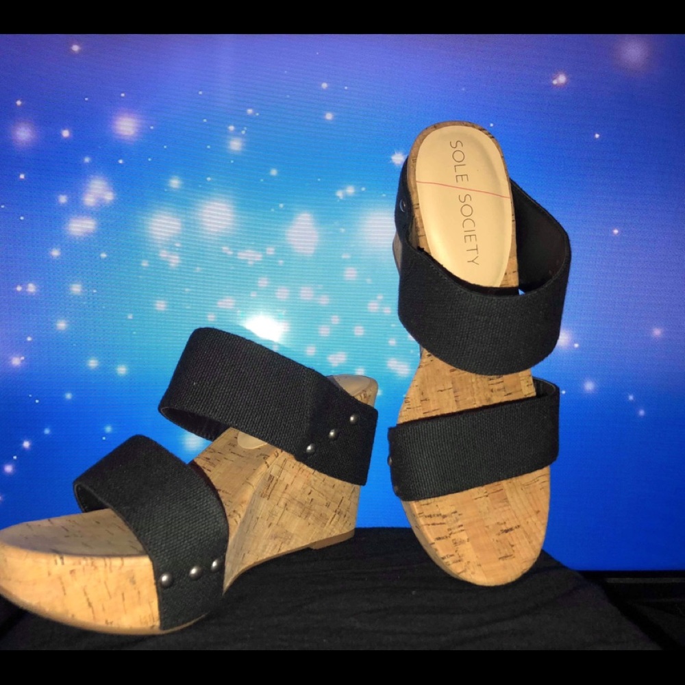 Sole Society Platform Wedge Sandals - Emilia $25.